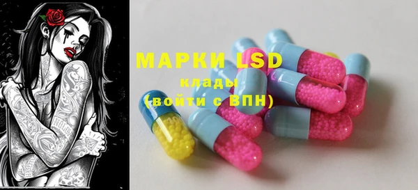PSILOCYBIN Алзамай