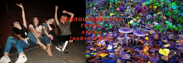 PSILOCYBIN Алзамай