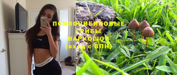 бошки Абаза